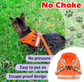 Cat Harness and Leash Set, Escape Proof Adjustable Soft Mesh Vest
