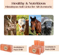 POHS Animal Pink Salt Lick, 8x4x2 100% Natural Salt Chunk, Pack of 4, 22 lbs