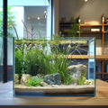 Vimvins 3 Gallon Glass Fish Tank, Easy to Maintain Small Aquarium for Betta/Goldfish/Snails/Shrimp and Aquatic Planting.