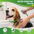 4 Pack Dog Flea Collars for Small Medium Large Dogs, Adjustable