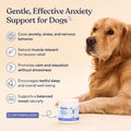 Pawfy Calming Chews for Dogs - Anxiety & Stress Relief for Thunder