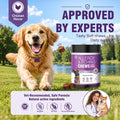 Dog Allergy Chews 200ct - Aller Immune Relief for Itchy Skin, Chicken Bites