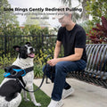 ShawnCo Essential Dog Harness, No-Pull Pet Vest with 3 Leash Clips, No Choke, Reflective, Adjustable and Padded, for Easy Walking and Training for Small, Medium and Large Dogs (Oceanic Blue, S)