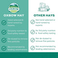 Oxbow Orchard Hay, Rabbit & Guinea Pig Hay, Hand-Sorted, De-Dusted, 40 oz