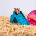 PETSPICK Pine Wood Bedding for Small Pets, Cages and Animal Habitats, 141 L