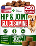 Glucosamine Hip & Joint Supplement for Dogs - 250 Chews with Chondroitin