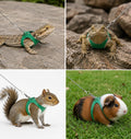 3 Pack Bearded Dragon Leash Set, Adjustable Leopard Gecko Leash for Small Reptile Walking Training(S, M, L)