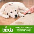 Bioda Commercial Strength Enzymatic Stain & Odor Eliminator for Pets, 1 gal