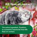 Advantage Treatment Spray for Cats, Kills Fleas & Ticks, 8 oz.