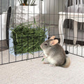 Hypeety Rabbit Hay Feeder Automatic Hay Rack for Guinea Pigs, Blue