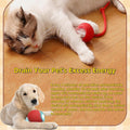 Interactive Dog Cat Toy Ball, Automatic Moving Bouncing Rolling, with Replacement Tail, Pet Smart Chase Ball Rechargeabl