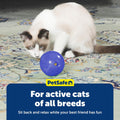 PetSafe Slimcat Feeder Ball Cat Toy, Blue
