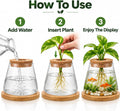 Glass Betta Fish Bowl, Desktop Plant Hydroponic Terrarium Kit 4''