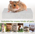 Kisangel Rabbit Lava Grinding Pad Natural Volcanic Stone for Small Pets