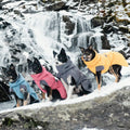 Hurtta Expedition Parka, Winter Dog Coat, Beetroot, 10 in