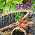 VCEPJH Snake Climbing Branch, 2Pcs Reptile Wood Natural Cork Log Tank Accessories Tree Trunk for Chameleon Bearded Drago