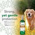 Vet's Best Flea & Tick Spray Shampoo for Dogs, Essential Oils, 16 oz