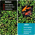 OIIKI 10 PCS Fish Feeding Rings Sets, Floating Aquarium Plant Corral, Black