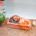 3 Pack Reptile Food Dish, Resin Hermit Crab Food & Water Bowl, Reptile Feeding Food Dish Kit, Tank or Aquarium Accessory