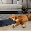 HOMBYS 25" Dog Pillow for Large & Medium Dogs, Soft Faux Fur Calming Pet Pillow for Anxiety Relief, Machine Washable, Pl