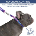 Spark Paws Martingale Dog Collar – Cushioned Slip-On Training Collar