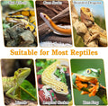 VCEPJH Snake Climbing Branch, 2Pcs Reptile Wood Natural Cork Log Tank Accessories Tree Trunk for Chameleon Bearded Drago