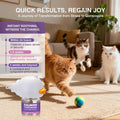 Tcllka Cat Calming Pheromone Diffuser Effectively Relieve Anxiety Stress Cat Calming Diffuser Comfort for Cats Refill Re