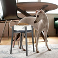 PROERR Raised Single Dog Bowl Stand for Medium Large,Adjustable 12-16" Tall