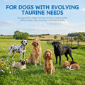 Taurine Powder Supplement for Dogs, Heart Function, Muscle & Metabolism