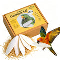 Amzey 12 Pack Cuttlebone for Birds, 4-6 Inches Sun-Dried 100% Natural Calcium Supplement, 100% Pure Cuttlefish Bone for Beak Trimming, Supports Healthy Bones, Feathers & Shells