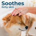Wondercide - Flea & Tick Shampoo for Dogs and Cats