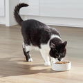 Open Farm RawMix Dry Cat Food, Open Prairie Grain Free Kibble, 2.25lb Bag
