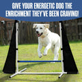 Dog Agility Course Backyard Set, Dog Agility Equipment, Weave Poles, Jumps