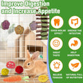 WDEFUN 21PCS Rabbit Chew Toys for Teeth Grinding, Natural Timothy Hay Cakes Treats for Bunny, Organic Apple Wood Sticks 