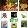 3pcs Tortoise Food Dish with Ramp and Basking Platform Leaf Tortoise Water Food Bowls Reptile Water Dish Turtle Reptile 