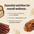The Honest Kitchen Essential Clusters Whole Grain Beef & Chicken Recipe, Vet-Recommended Human Grade Dry Dog Food for Ad