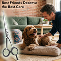 ARSUK Dog Grooming Scissors 7-Inch Professional Japanese Stainless Steel Pet Grooming Scissors for Pets, Sharp Dog Hair 