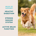 VetIQ 8-in-1 Multifunctional Dog Supplement Chews, 90ct