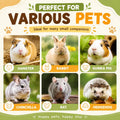 WDEFUN 500g Organic Apple Sticks Small Animals Molar Wood Treats Toys for Chinchillas Guinea Pig Rabbits Hamster Gerbil 