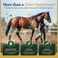 Horse Joint Supplement Powder, Glucosamine, Chondroitin & MSM