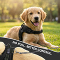 No Pull Reflective Adjustable Dog Harness with Handle- Comfortable Soft All Weather Mesh, Easy On Puppy Harness for Smal