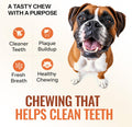 Scoochie Pet Brazilian Pig Ears - All-Natural, 75 Pack Pig Ears for Dogs