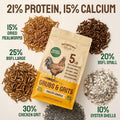 Hatortempt 5lb Grubs & Grits Chicken Grit, Duck Food, Chicken Feed