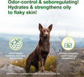 Douxo S3 SEB Dog Seboregulating Mousse, 0.5% Ophytrium, 5 fl oz