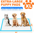 100 Count Puppy Pads 28"x34", Extra Large, Super Absorbent