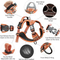 Timos Dog Harness, No Pull Large Sized with 3 Buckles, Flower Orange, L