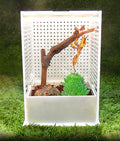 OMEM Reptile Breeding Box, Insect Incubator, for Orchid Mantis, African Phantom Mantis, Reptile Resting Habitat and Ente