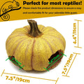 Pumpkin Leopard Gecko Hide Reptile Bearded Dragon Tank Hideout Caves Accessories Halloween Turtle Lizard Snake Décor Amp