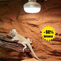 Basking Light for Reptiles, 2-Pack 100W Upgraded Intense Basking Spot, Reptile Heat Bulb Light, UVA Heat Lamp Bulbs for 