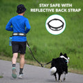 PetAmi Hands Free Dog Leash with Padded Lumbar Waist Belt, Shock Absorbing Bungee, Quick Release Buckle, Dual Handle, Running Jogging Walking Leash for Medium Large Dogs Up to 125 lbs, Grey